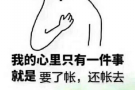 庆云庆云讨债公司服务